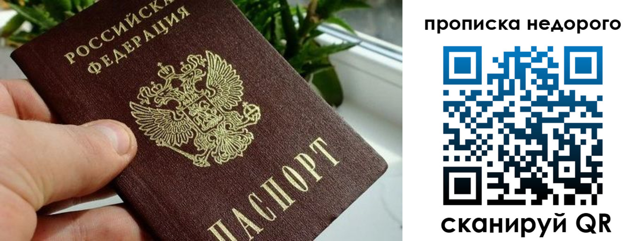 прописка для кредита в Гагарине